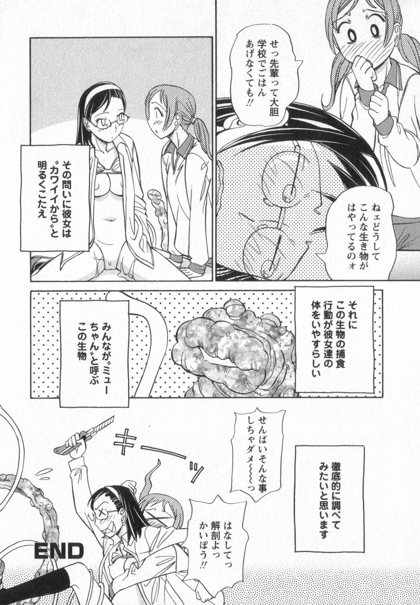[あんみつ草] HAPPY VALLEY