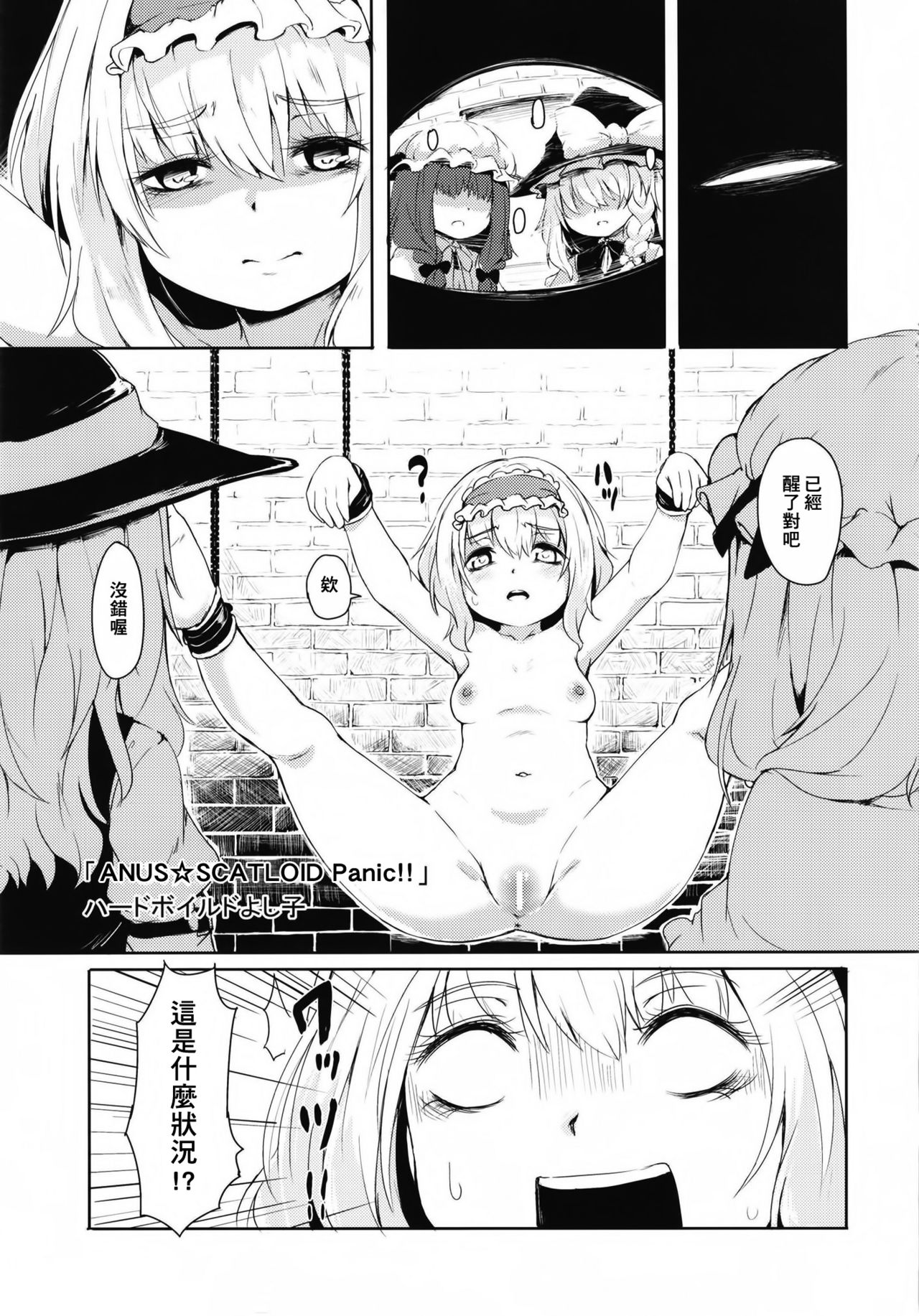 (C93) [芋。 (よろず)] 見ちゃダメぇっ!～東方脱糞羞恥合同～ (東方Project) [中国翻訳]