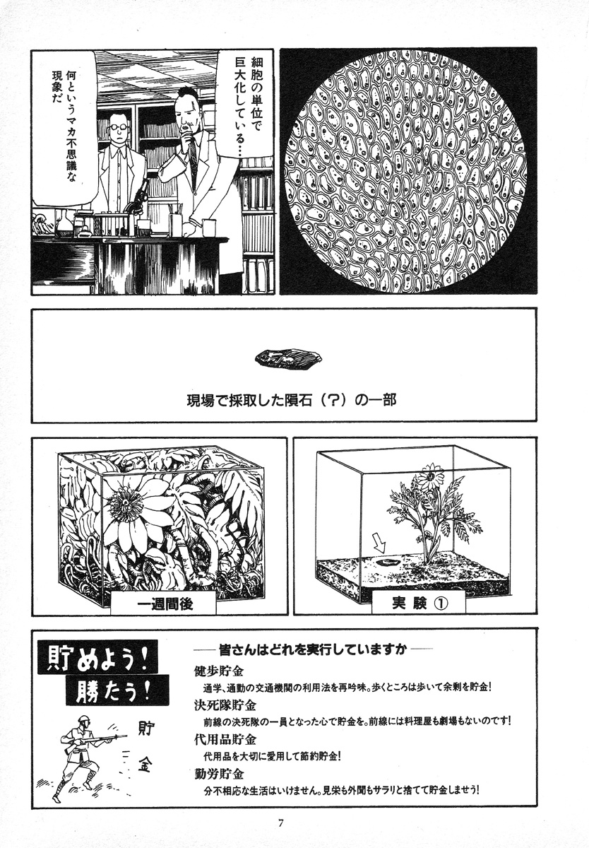 [駕籠真太郎] 輝け!大東亜共栄圏