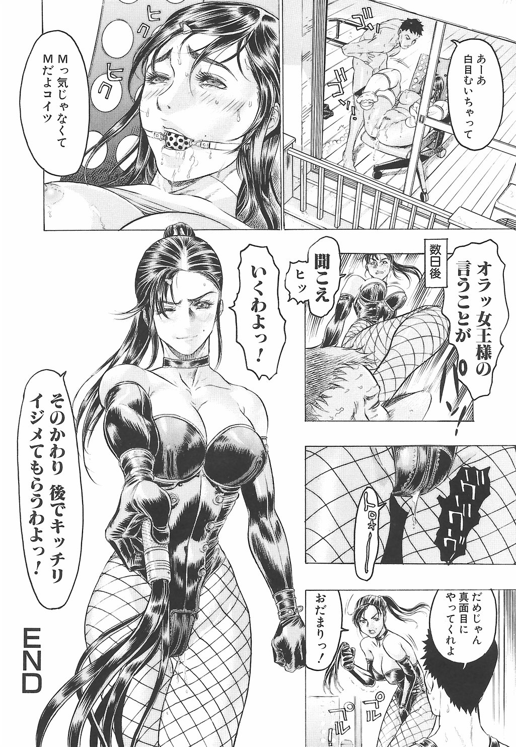 [ビューティ・ヘア] 妖淫鎧