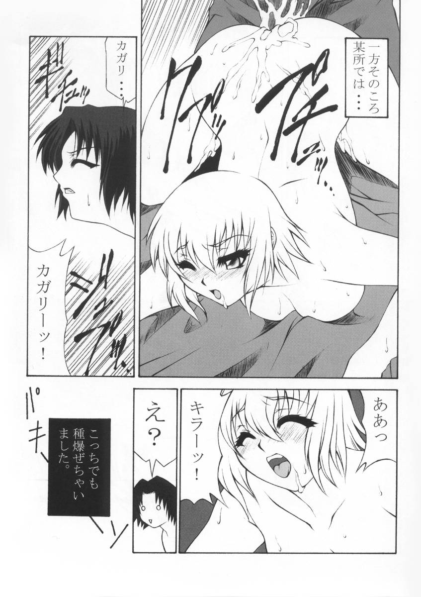 (C64) [脱脂粉乳 (西安、阿久多のえ)] 機動姦GS (機動戦士ガンダムSEED)