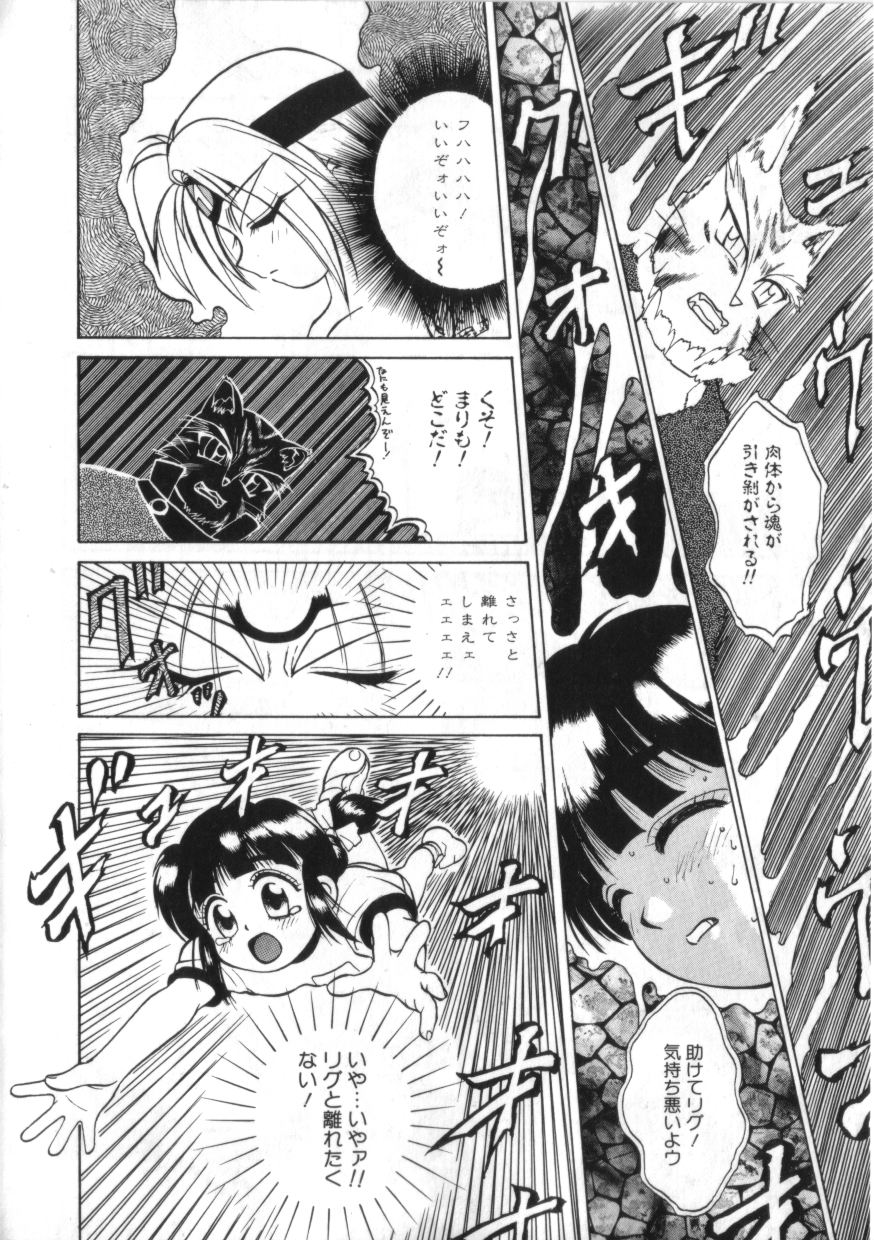 [綺羅星] 拳王 MARIMO