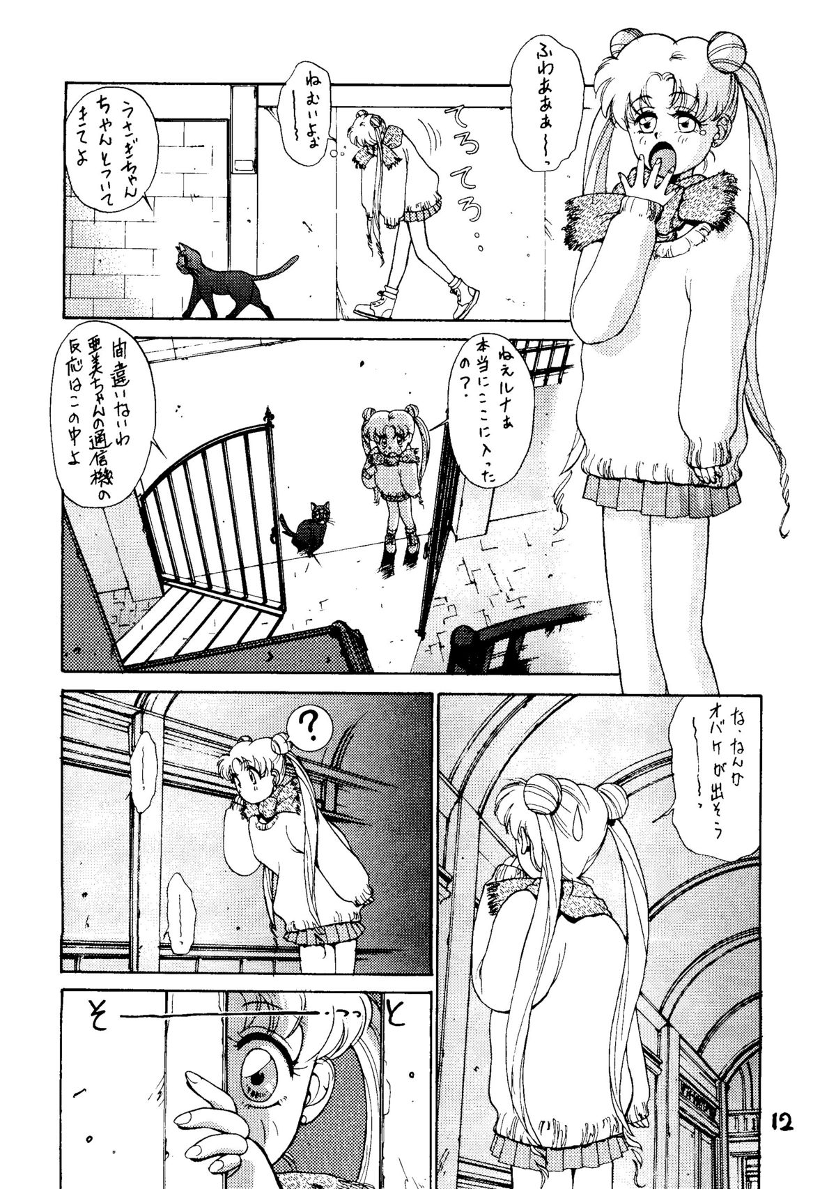 [秘密結社 月と妖精] RE-FLESH！ (美少女戦士セーラームーン)