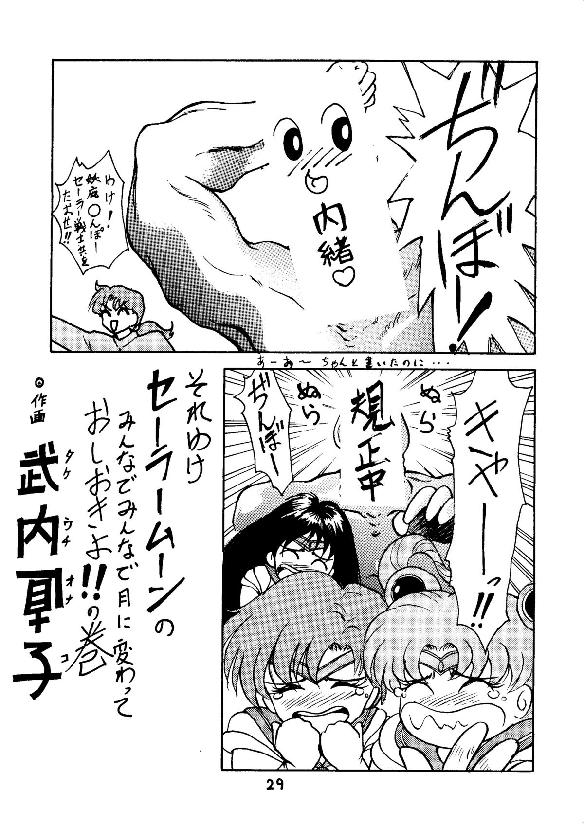 [秘密結社 月と妖精] RE-FLESH！ (美少女戦士セーラームーン)