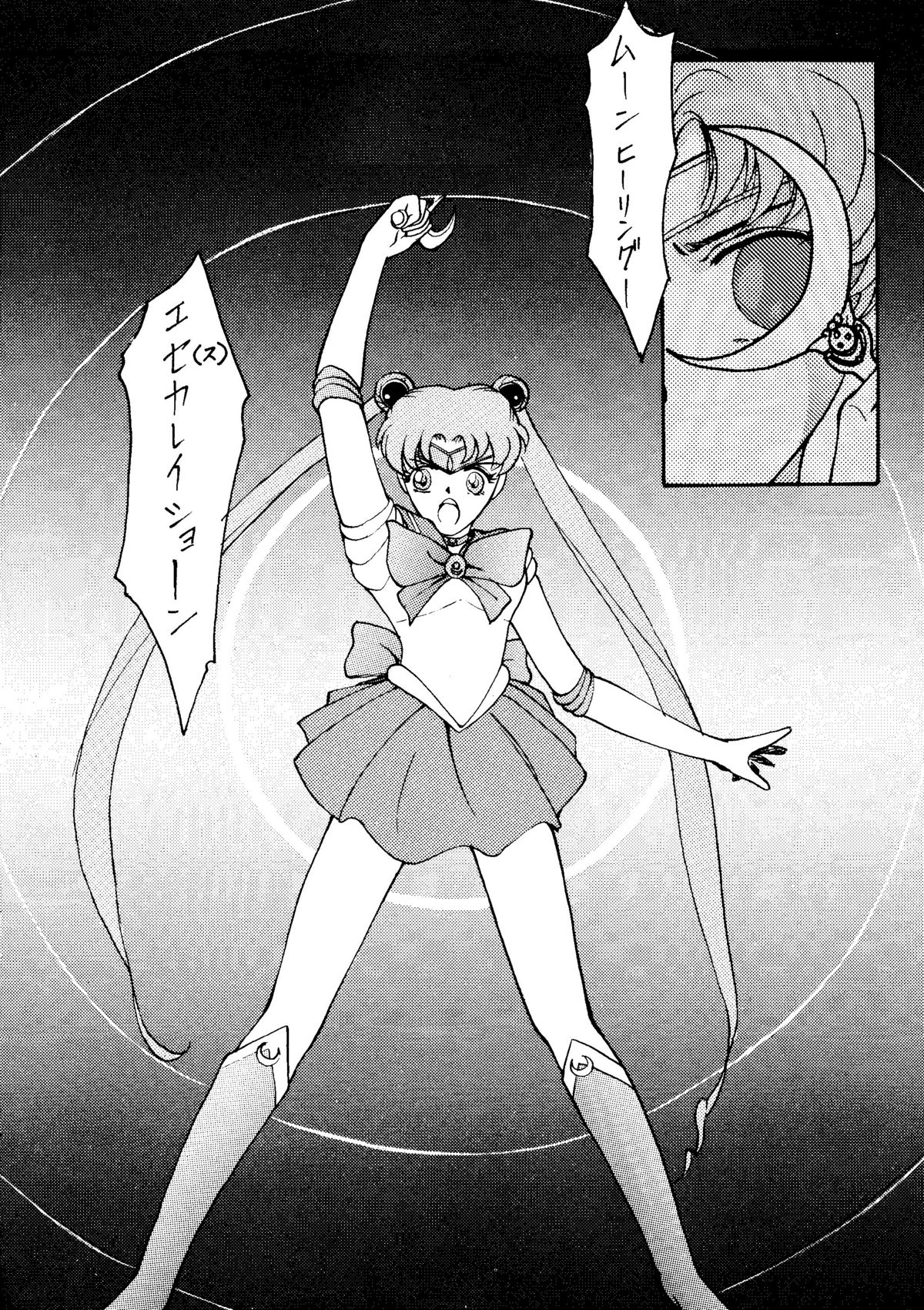 [秘密結社 月と妖精] RE-FLESH！ (美少女戦士セーラームーン)
