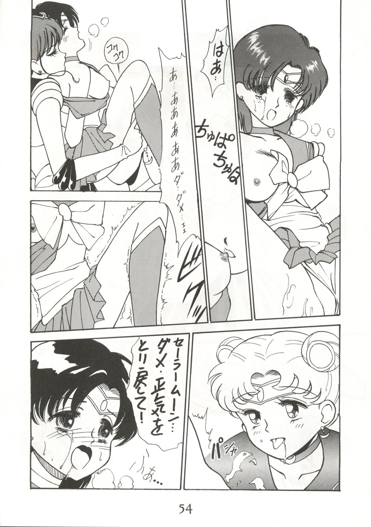 [秘密結社 月と妖精] RE-FLESH！ (美少女戦士セーラームーン)