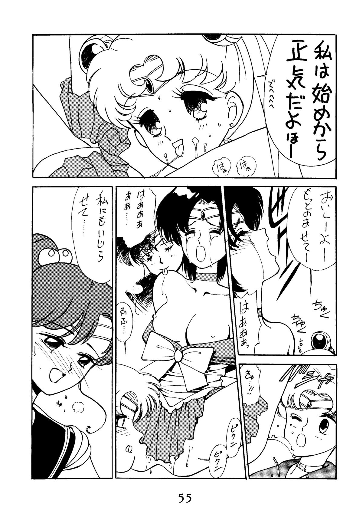 [秘密結社 月と妖精] RE-FLESH！ (美少女戦士セーラームーン)
