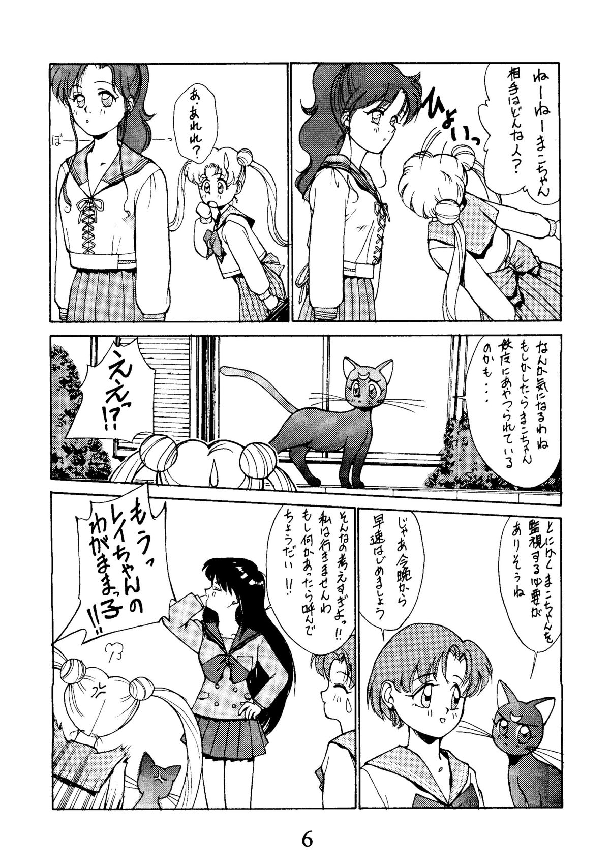 [秘密結社 月と妖精] RE-FLESH！ (美少女戦士セーラームーン)