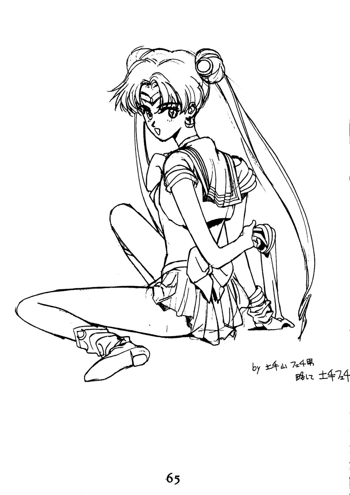 [秘密結社 月と妖精] RE-FLESH！ (美少女戦士セーラームーン)