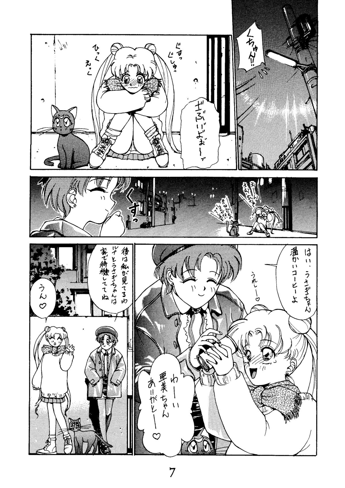 [秘密結社 月と妖精] RE-FLESH！ (美少女戦士セーラームーン)