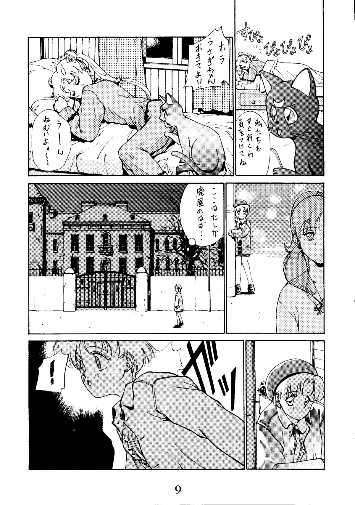 [秘密結社 月と妖精] RE-FLESH！ (美少女戦士セーラームーン)