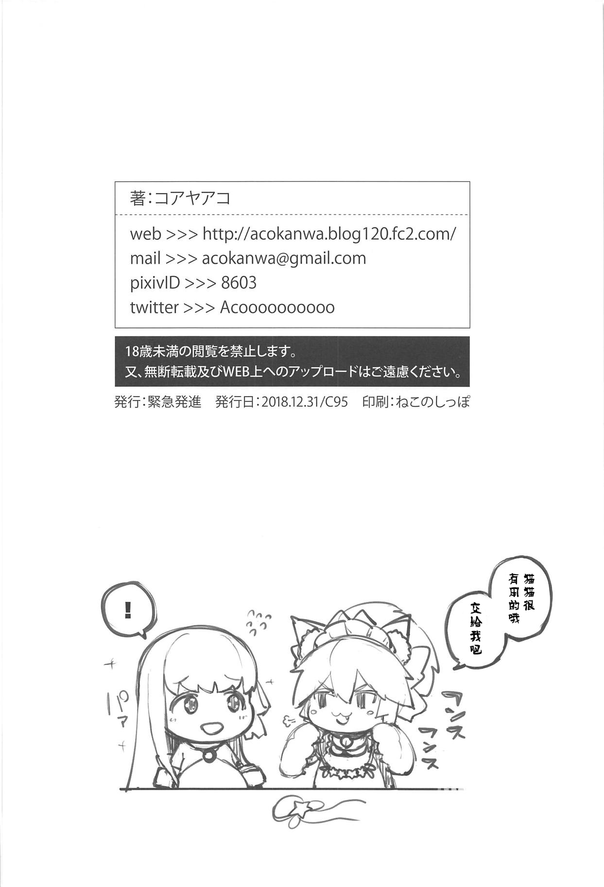 (C95) [緊急発進 (コアヤアコ)] 虚構ノ海辺ニテ (Fate/Grand Order) [中国翻訳]