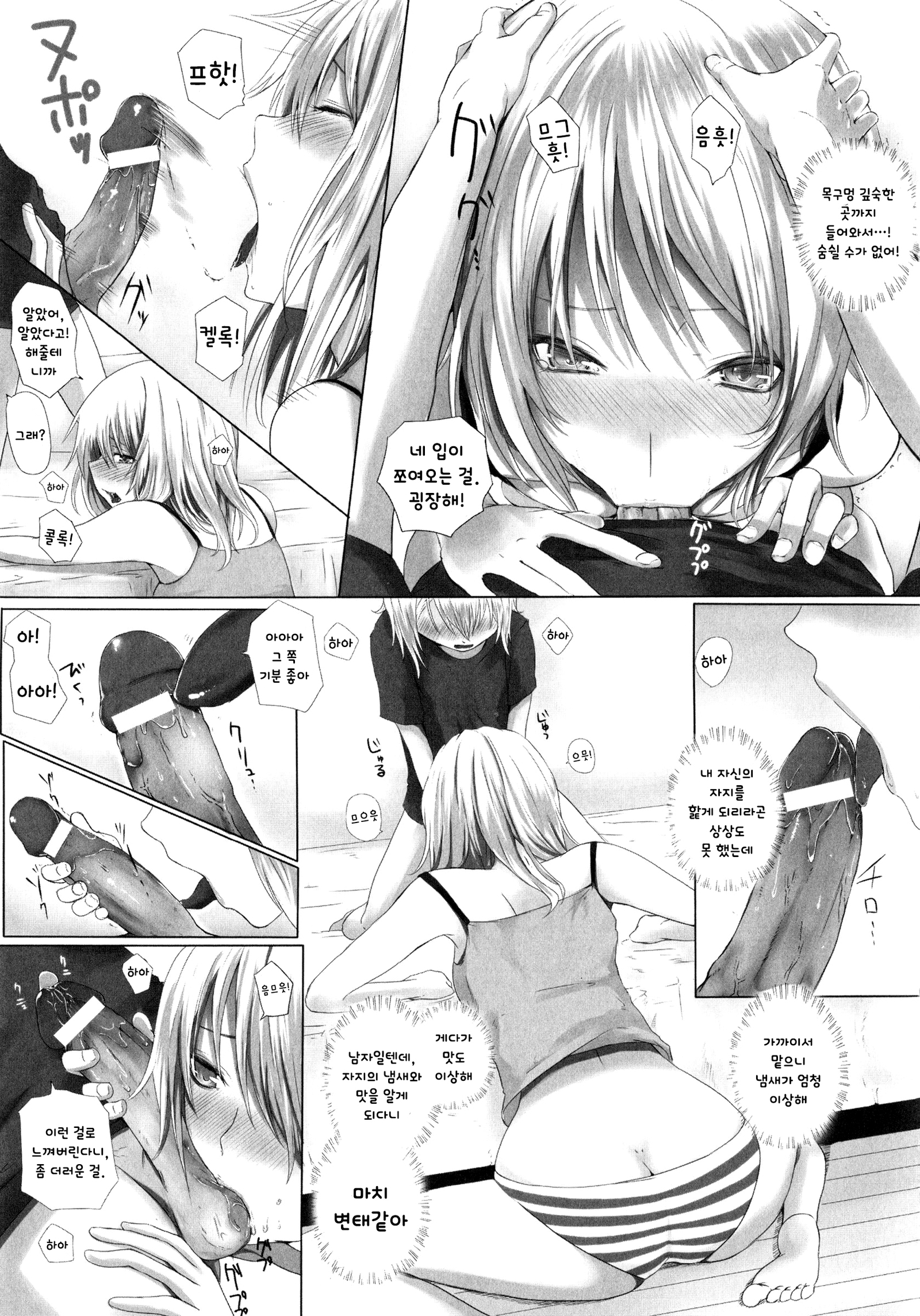 トランスシスターズ