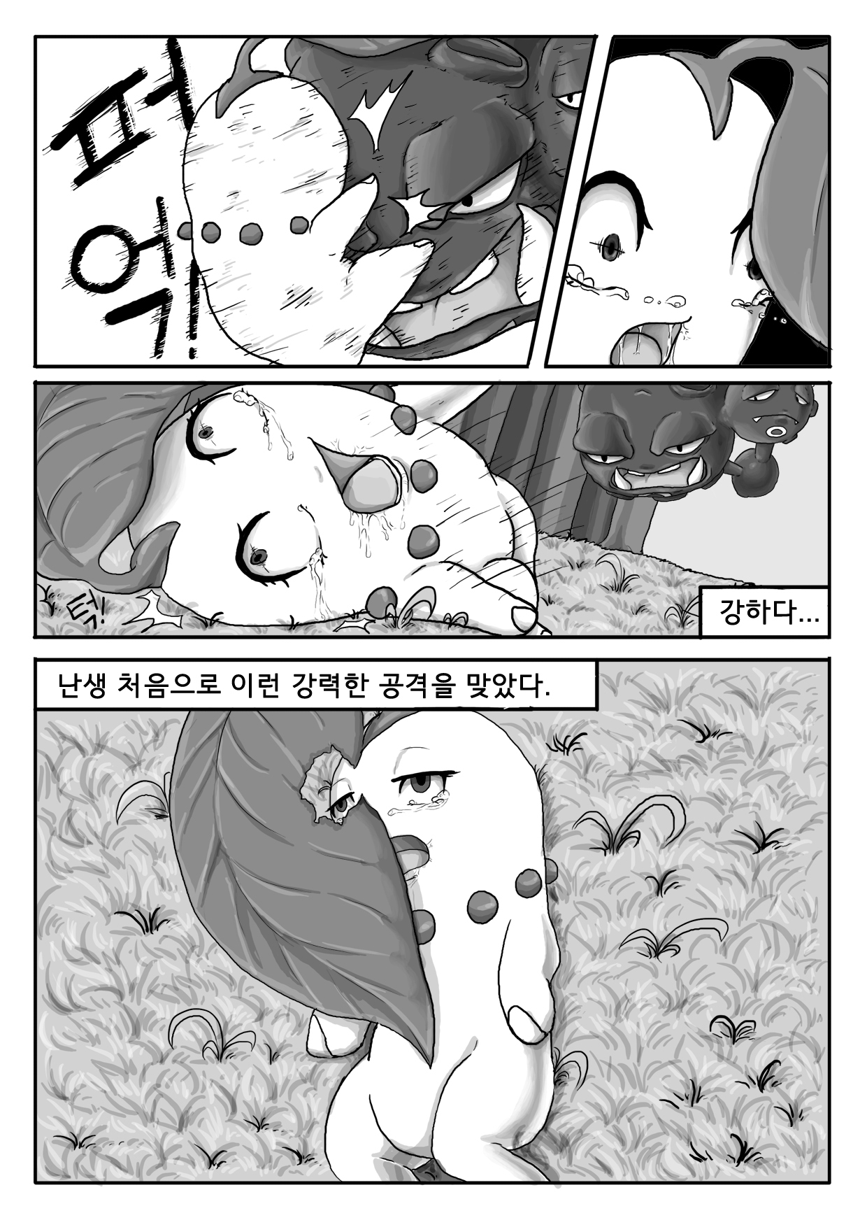 貧しいチコリータ-1-