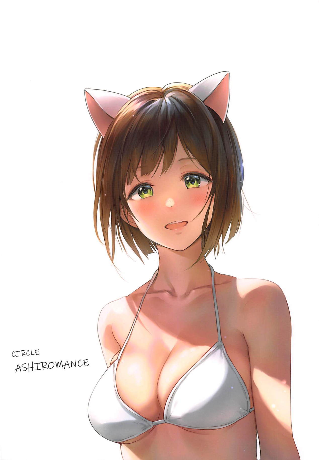 ミクニャンサマーラブ
