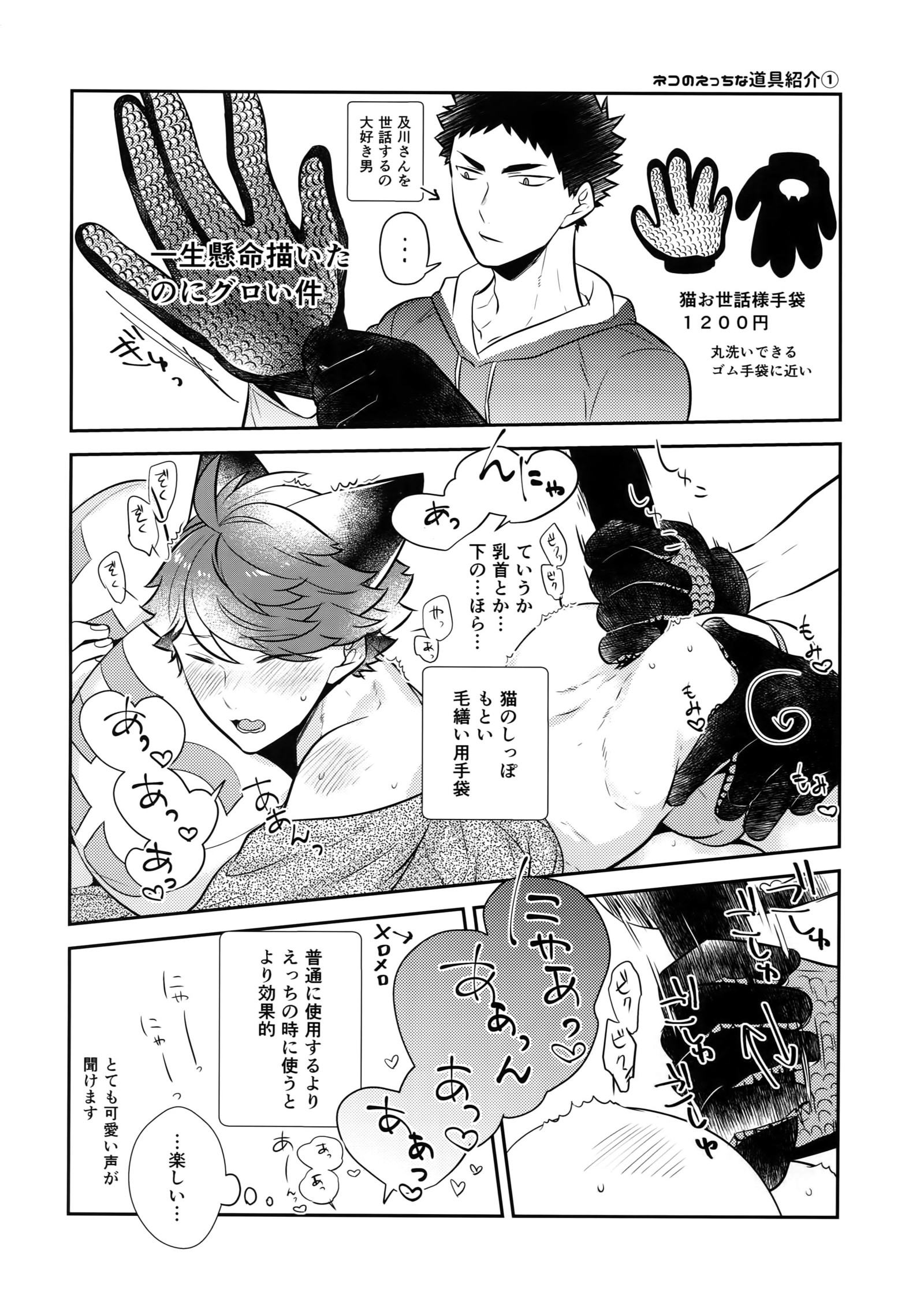 岩ちゃんの猫になりたい7
