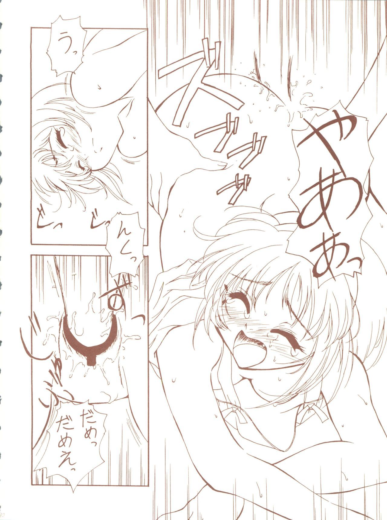 かげつけいりょうさい