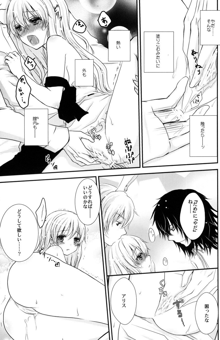 ぼうしや×アリス×さんがつうさぎの本