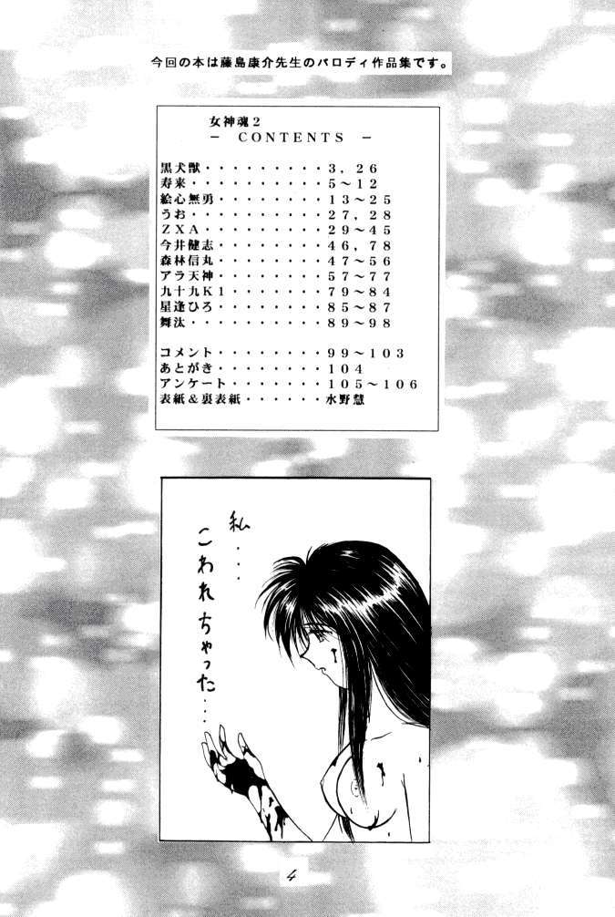 MEGAMI SPIRIT II