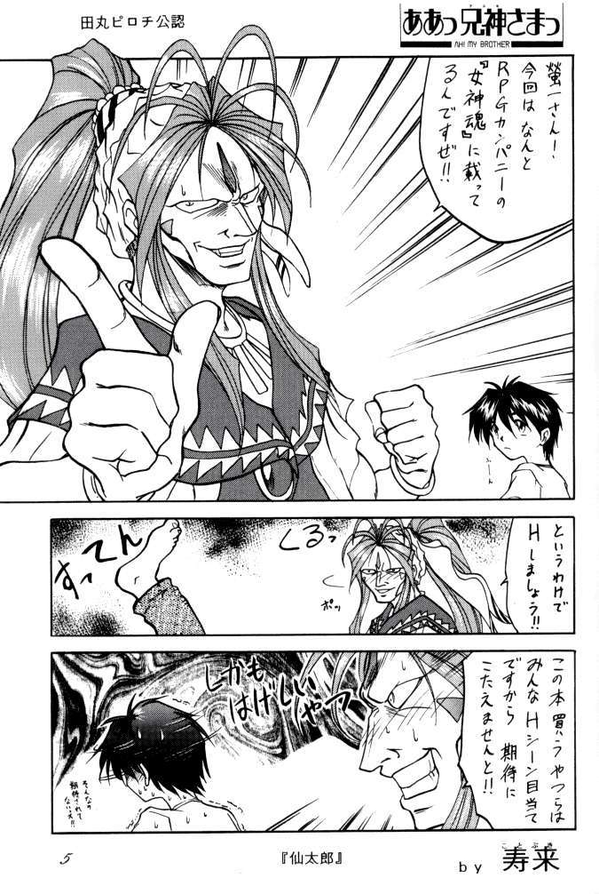MEGAMI SPIRIT II
