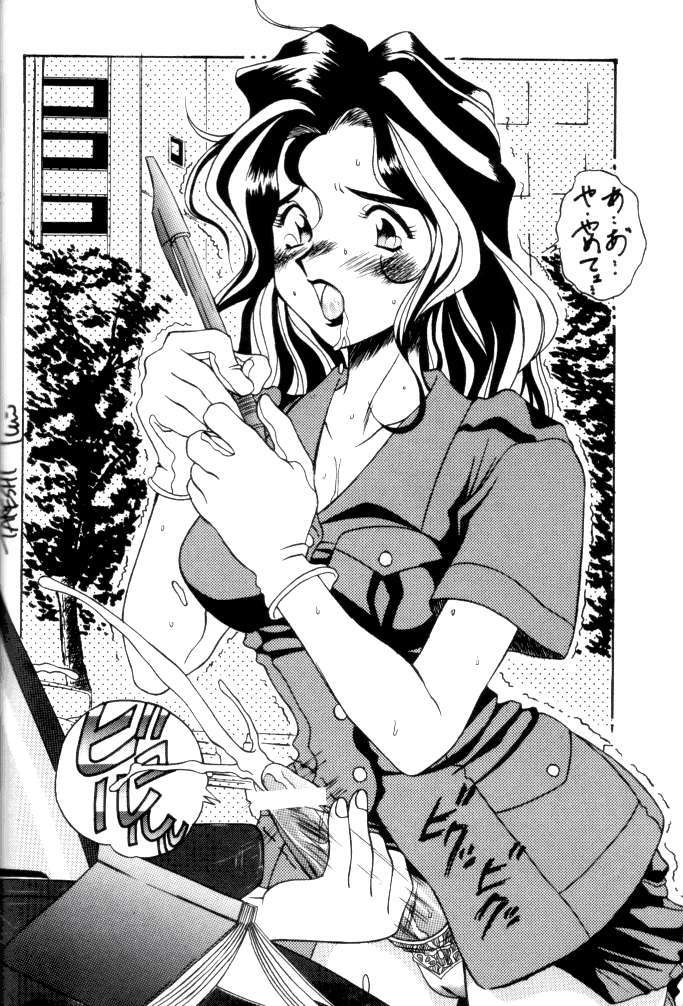 MEGAMI SPIRIT II