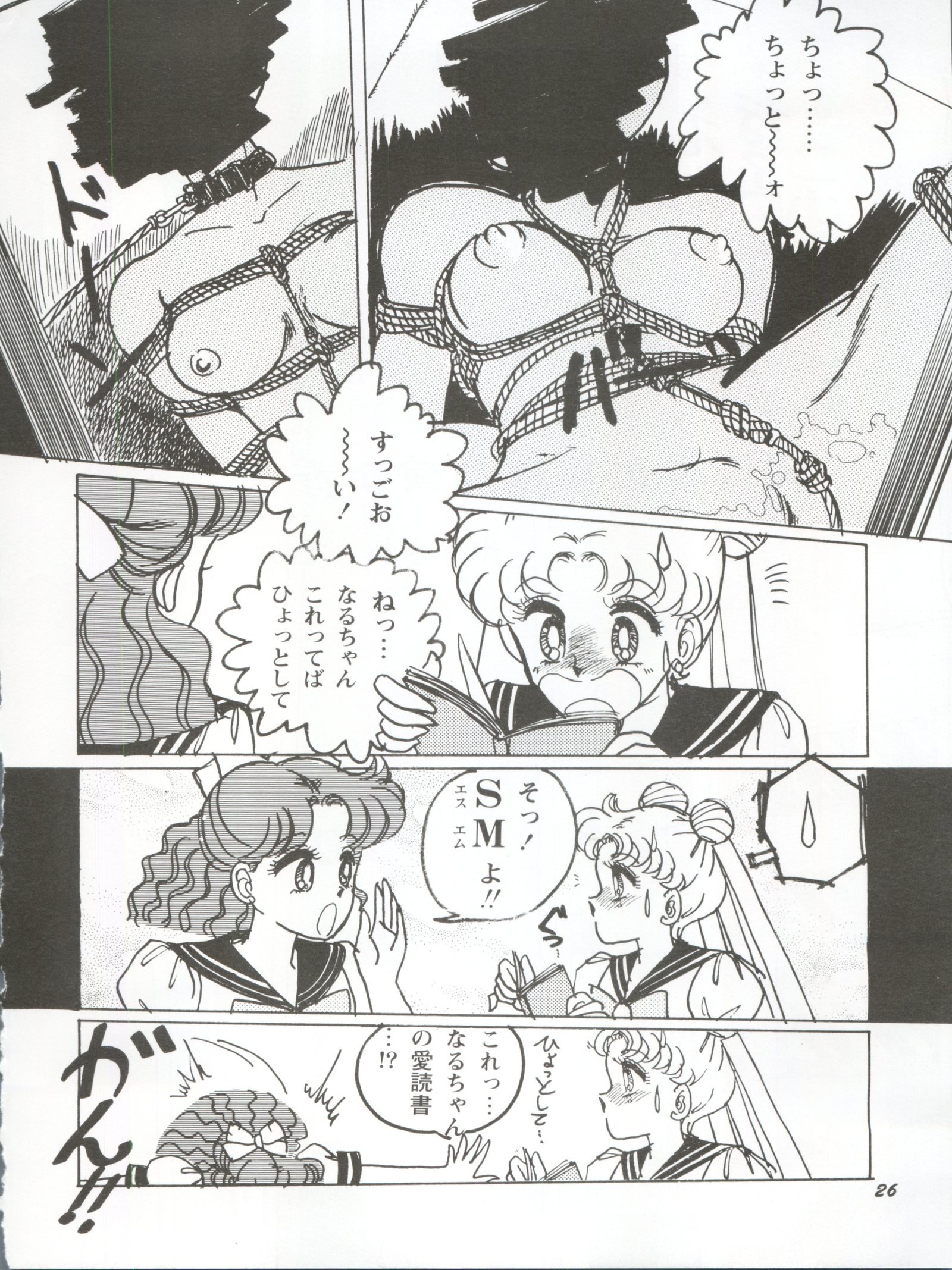 うさぎ14サイ