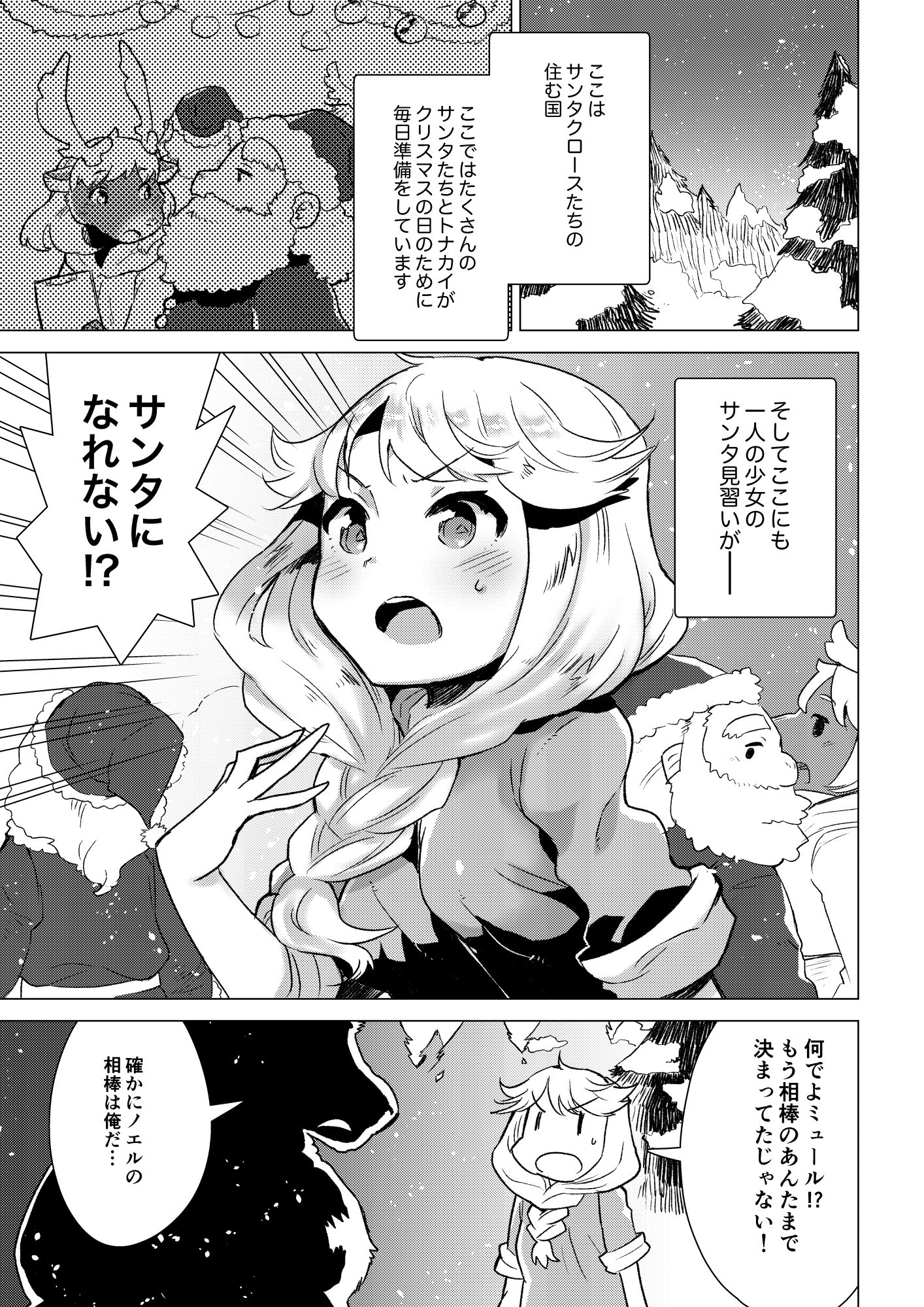 サンタクロースの試験