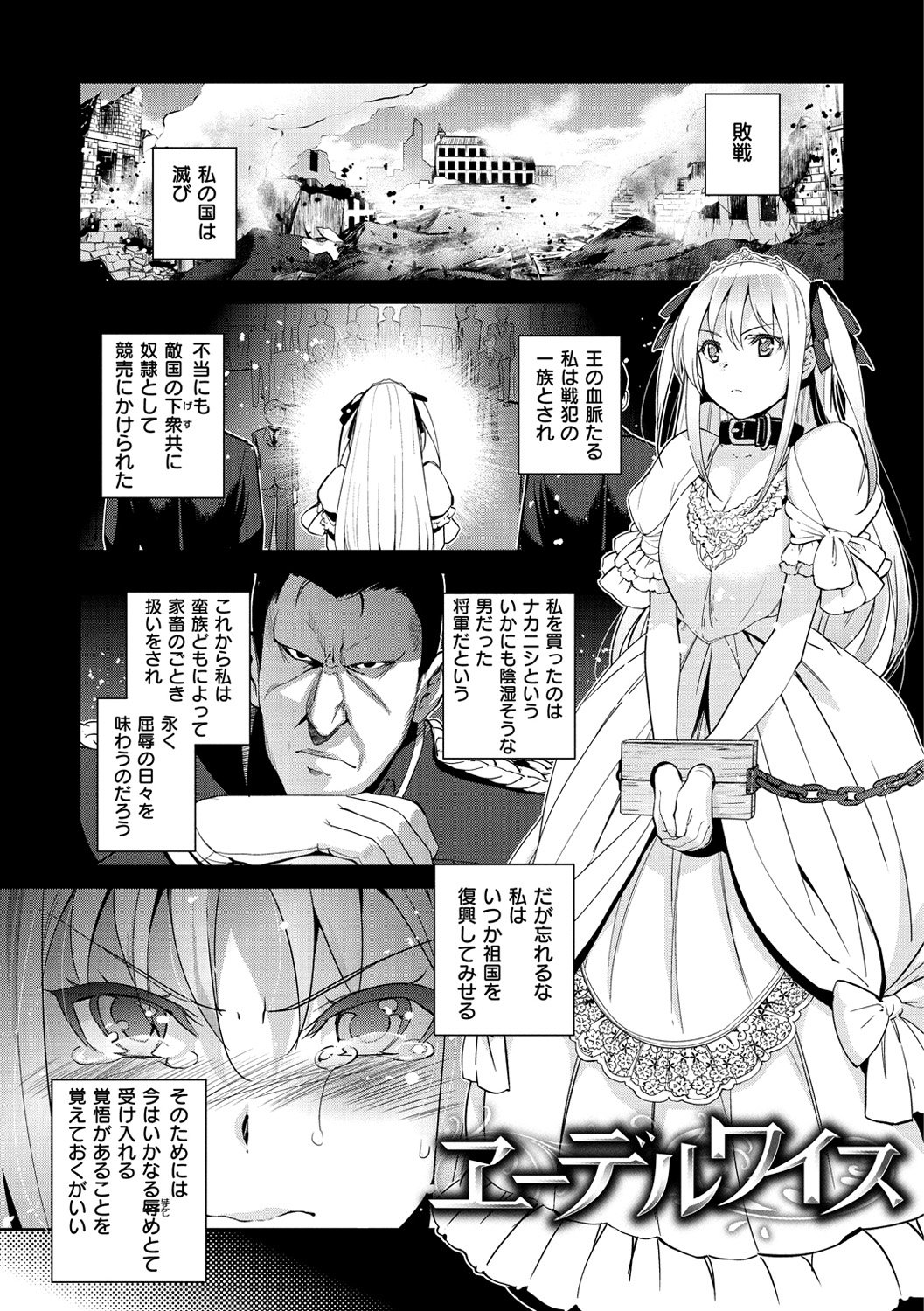 姫様おとし-堕ちた王女