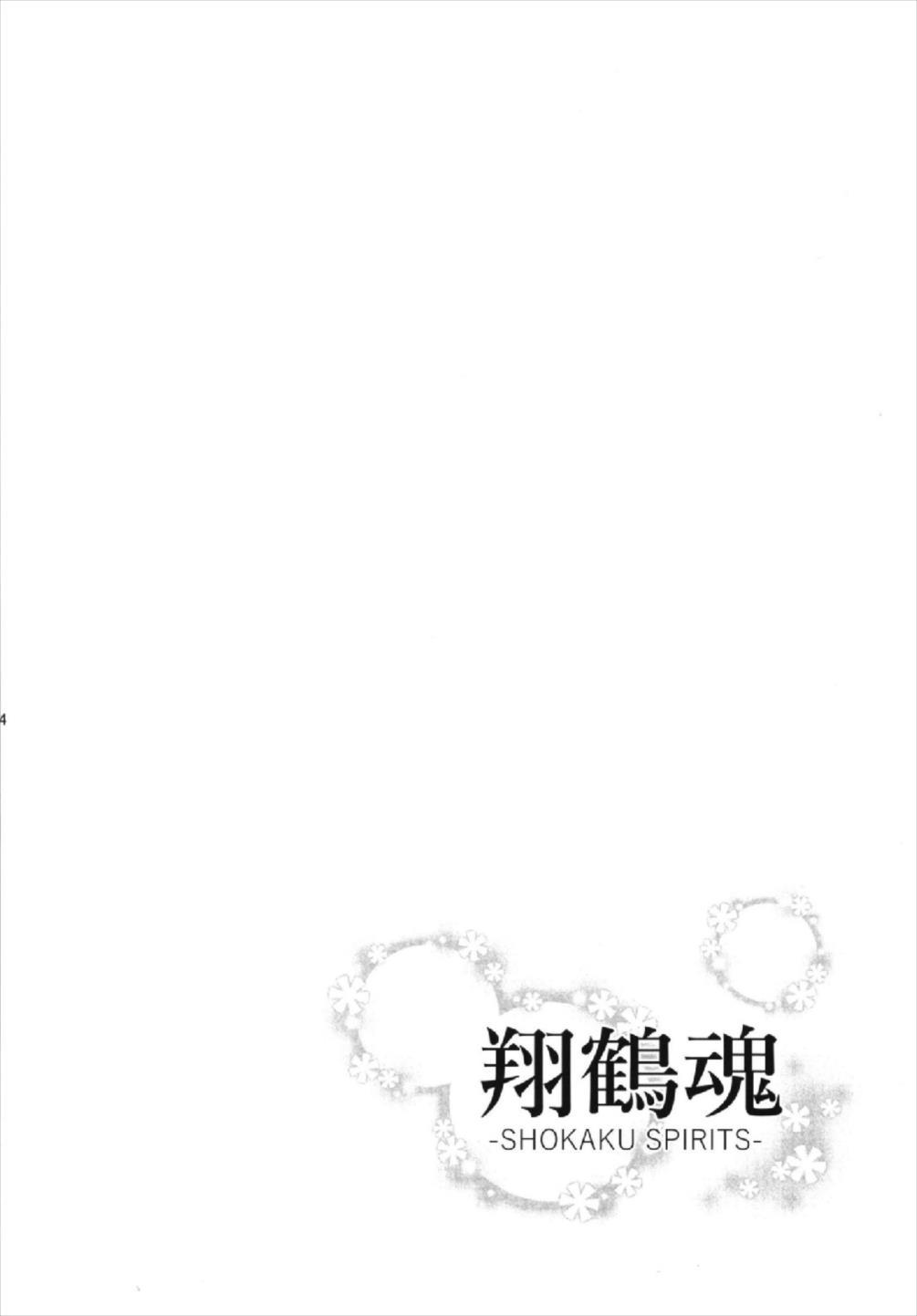 翔鶴ダマシイ-SHOKAKUSPIRITS-
