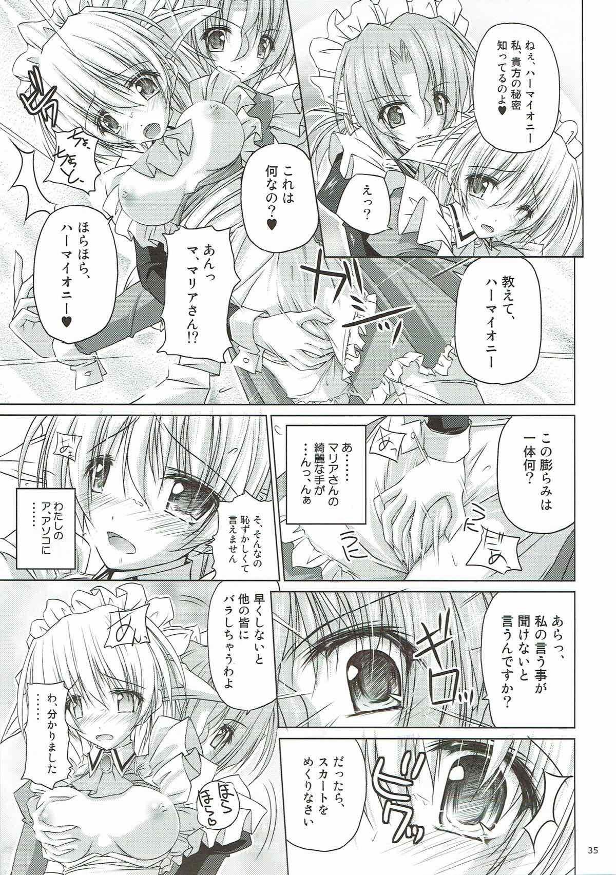 r.i.sアーカイブ1-ハヤテ本総集編-