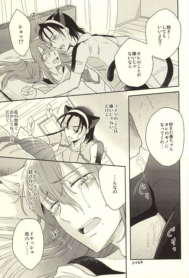 取り付け+