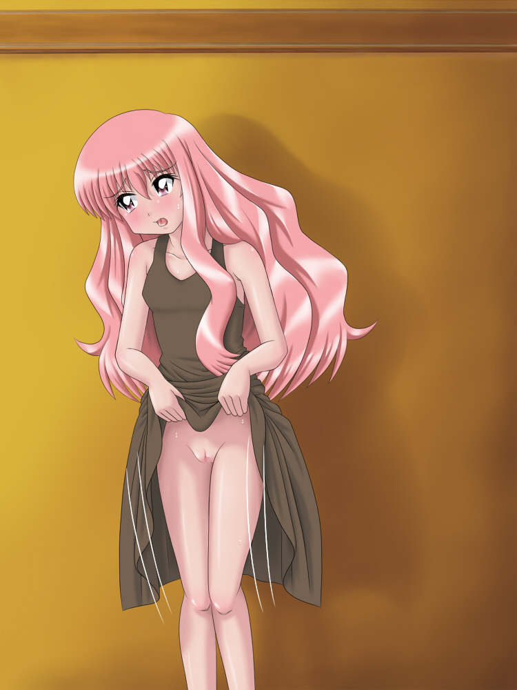 ゼロの使い魔花瀬内Lのひみつそれから