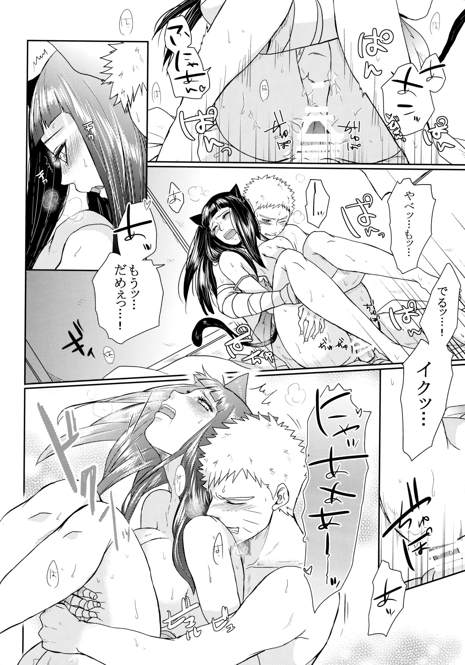 猫、パニック|キティパニック！