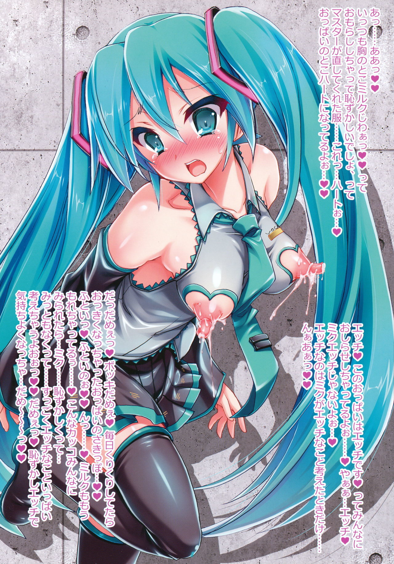 ミクちゃんのサキッポそうしゅうへん+α