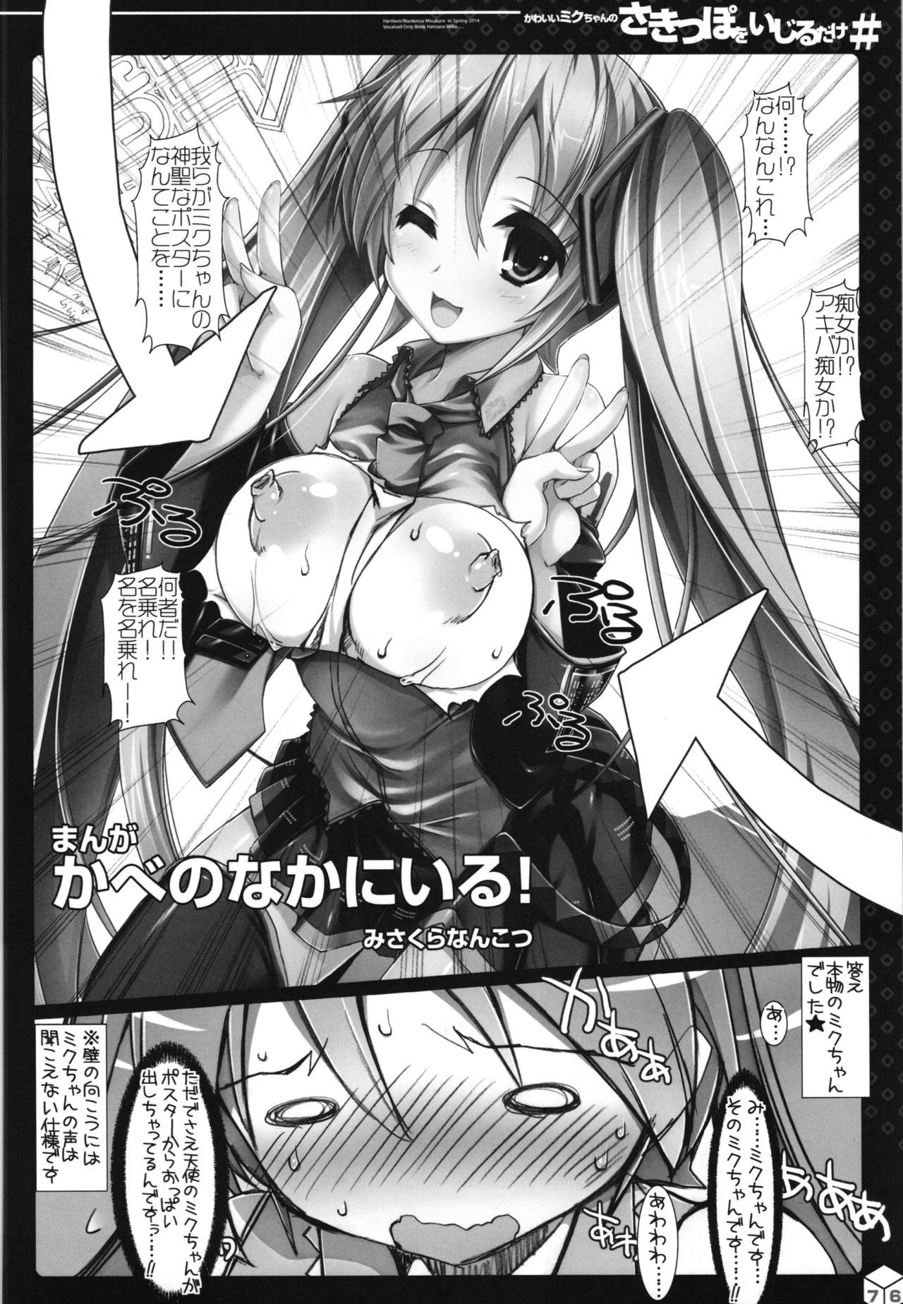 ミクちゃんのサキッポそうしゅうへん+α