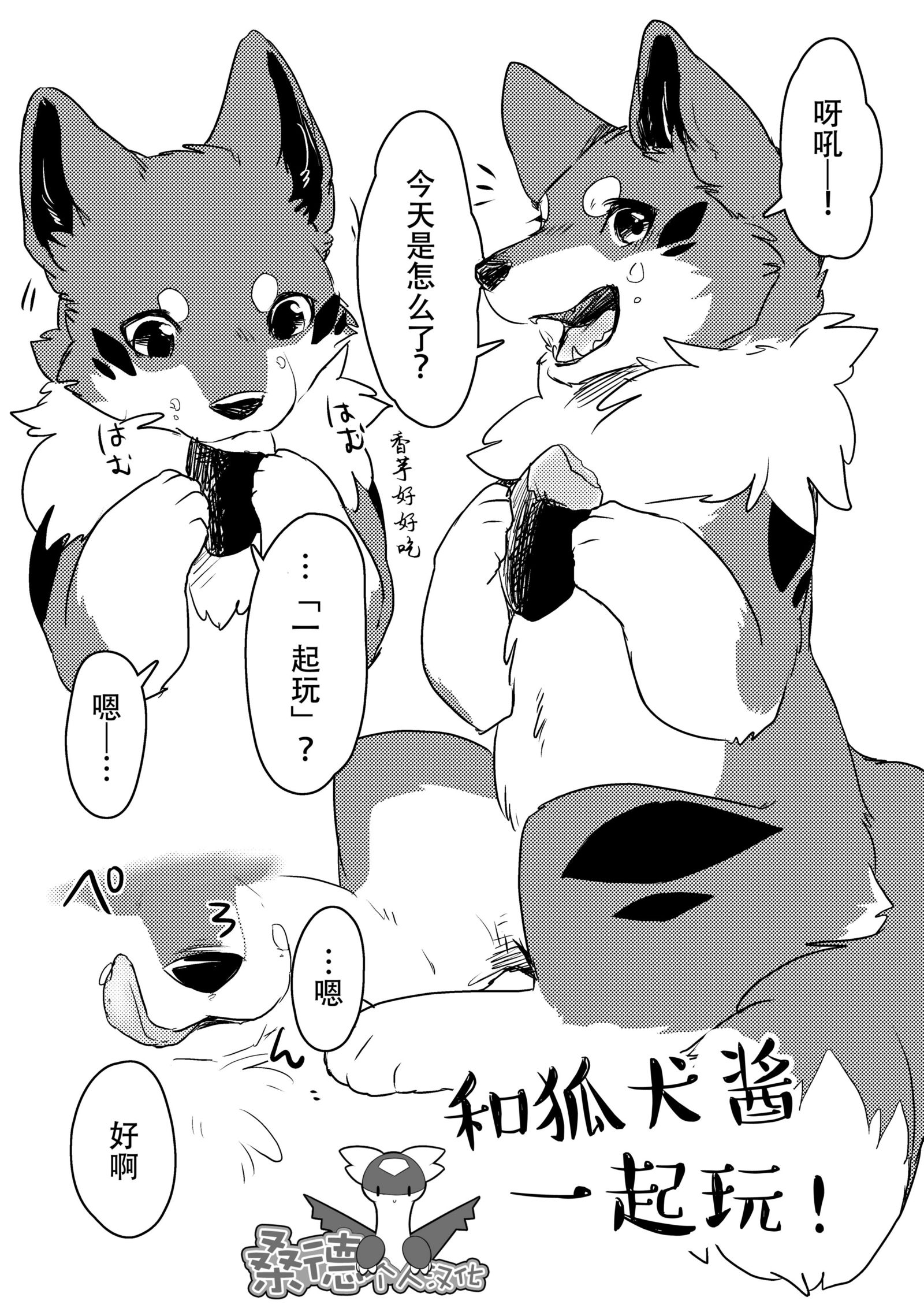 キツネ犬とあそぼ！