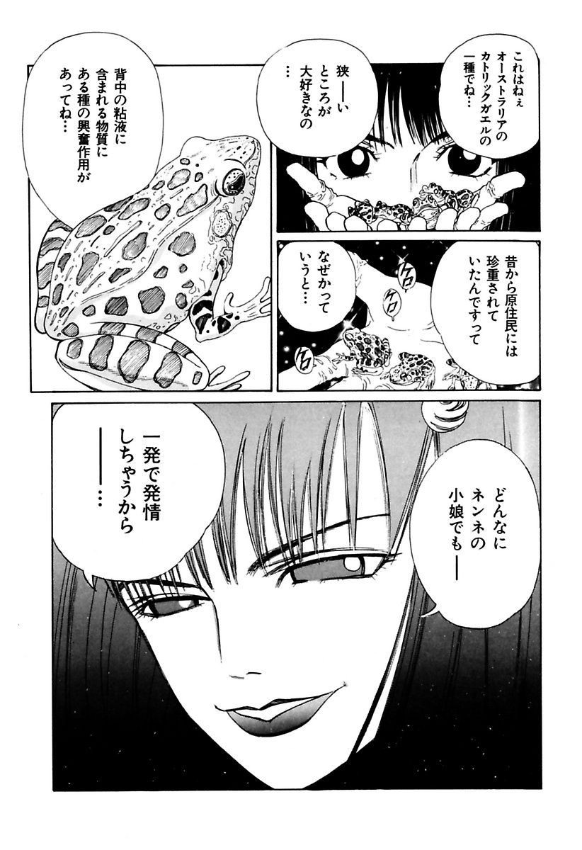 両国四角ぐしょうぬれプレミアム