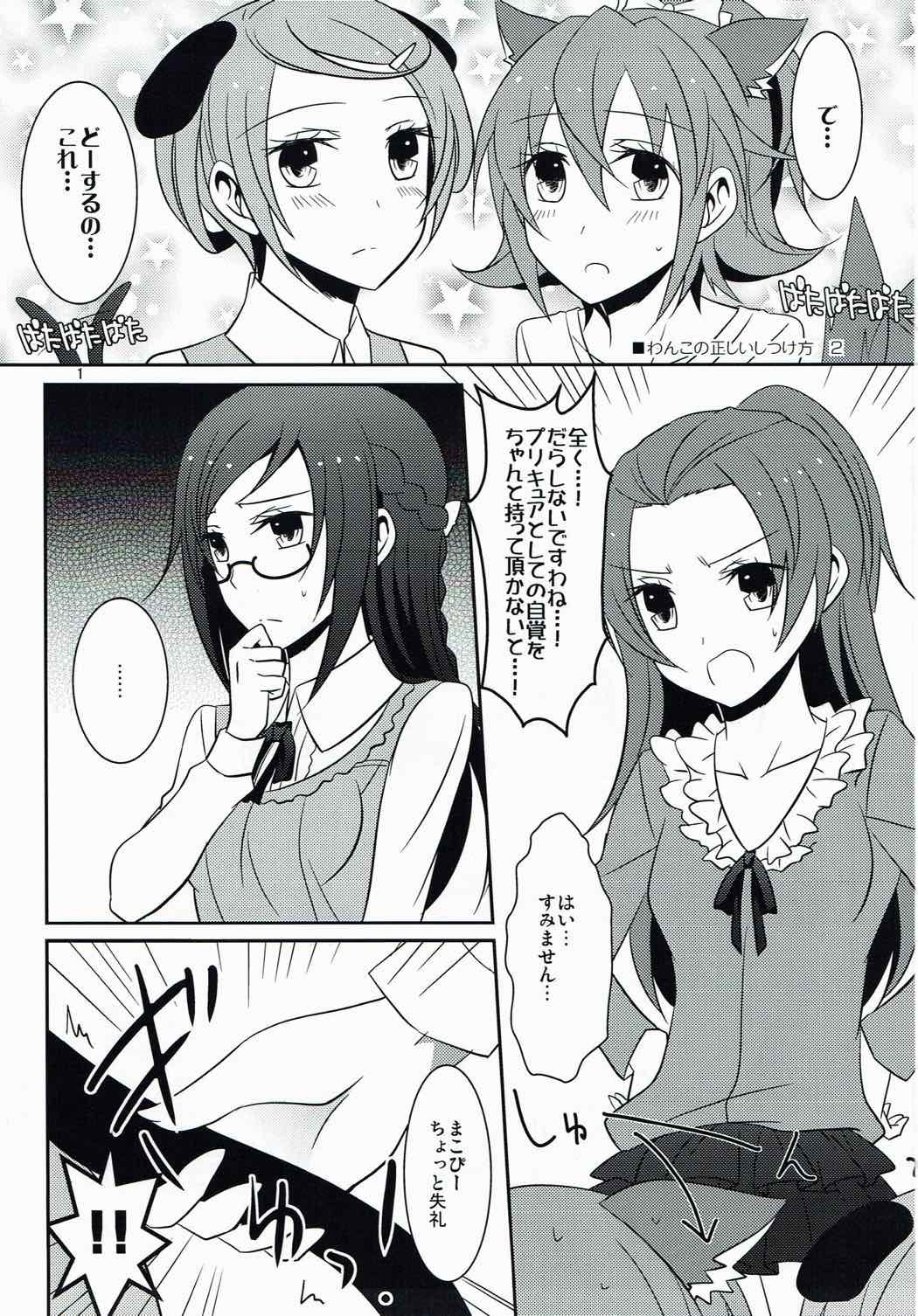 わんこのただしいカタスケ2