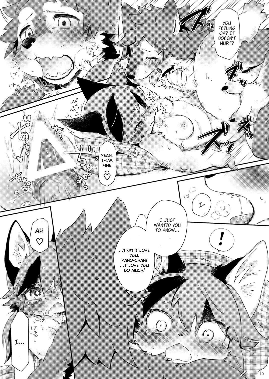 けもかのばなし