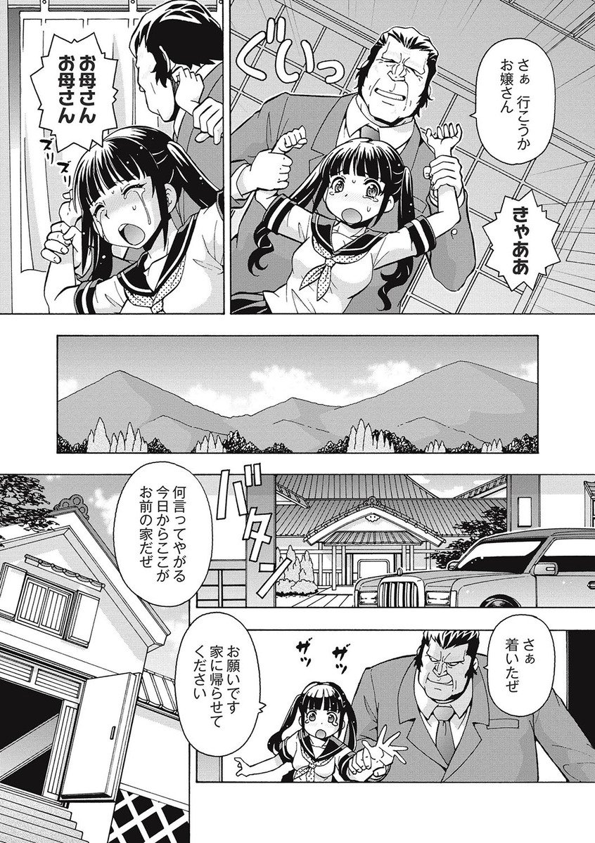 ブラックカイゴヘルパーゼツリン王立の肉剛