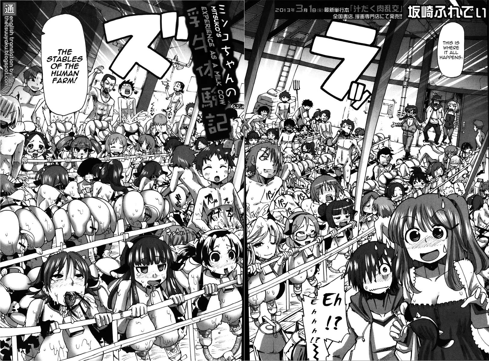 ミツコの乳牛としての経験