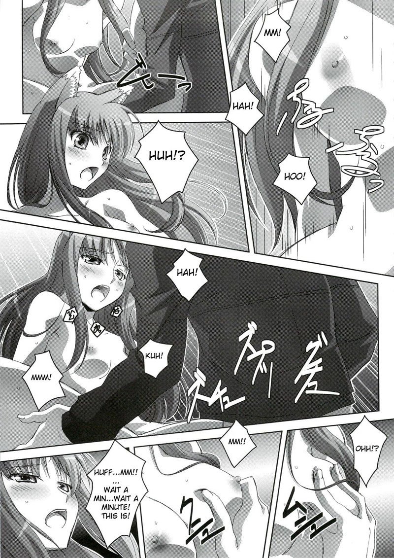 ホロンホロロン