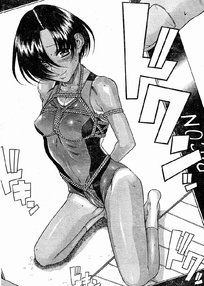 Ch33
