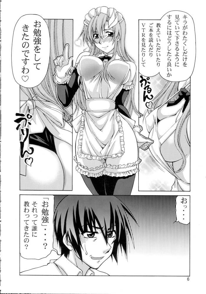 機動戦士ガンダムSEED-癒しの歌姫