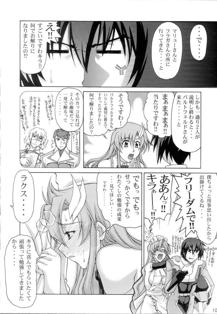 機動戦士ガンダムSEED-癒しの歌姫