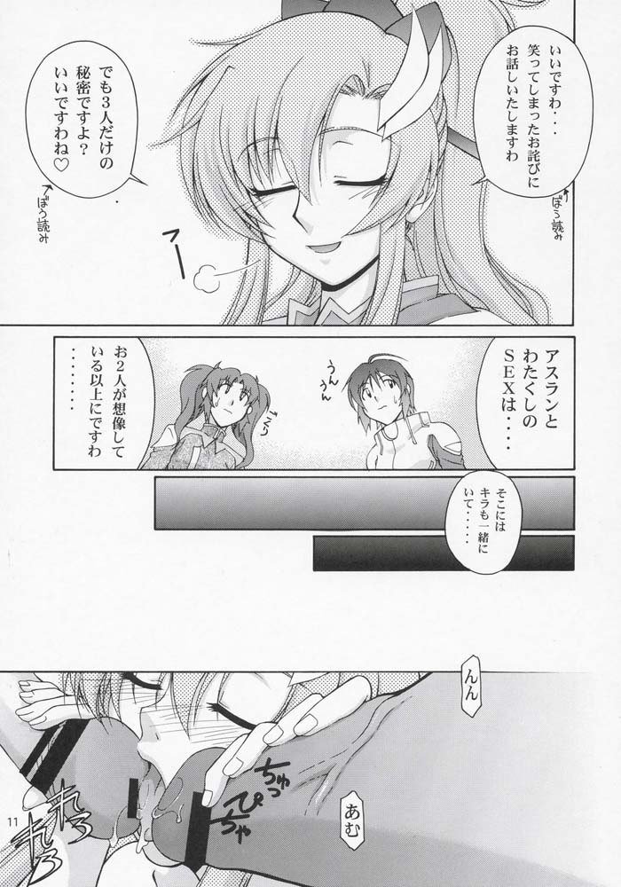 機動戦士ガンダムSEED-ありがとう！絡子