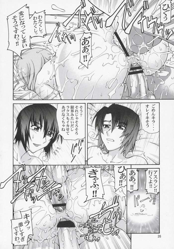 機動戦士ガンダムSEED-ありがとう！絡子