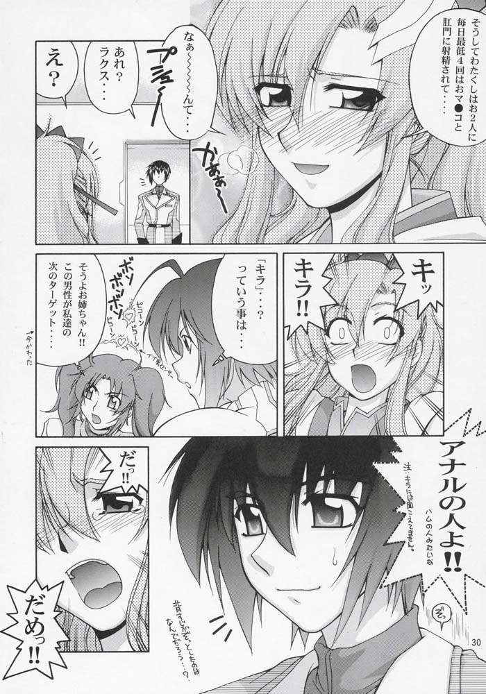 機動戦士ガンダムSEED-ありがとう！絡子