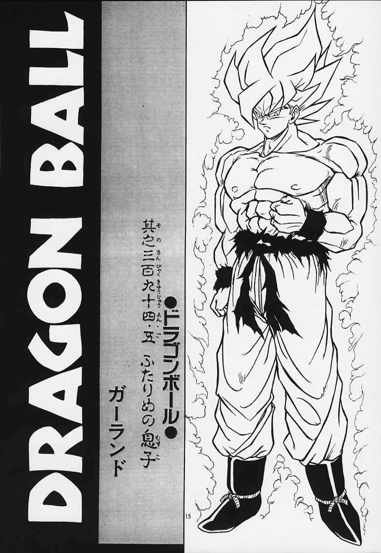 ドラゴンボールH02
