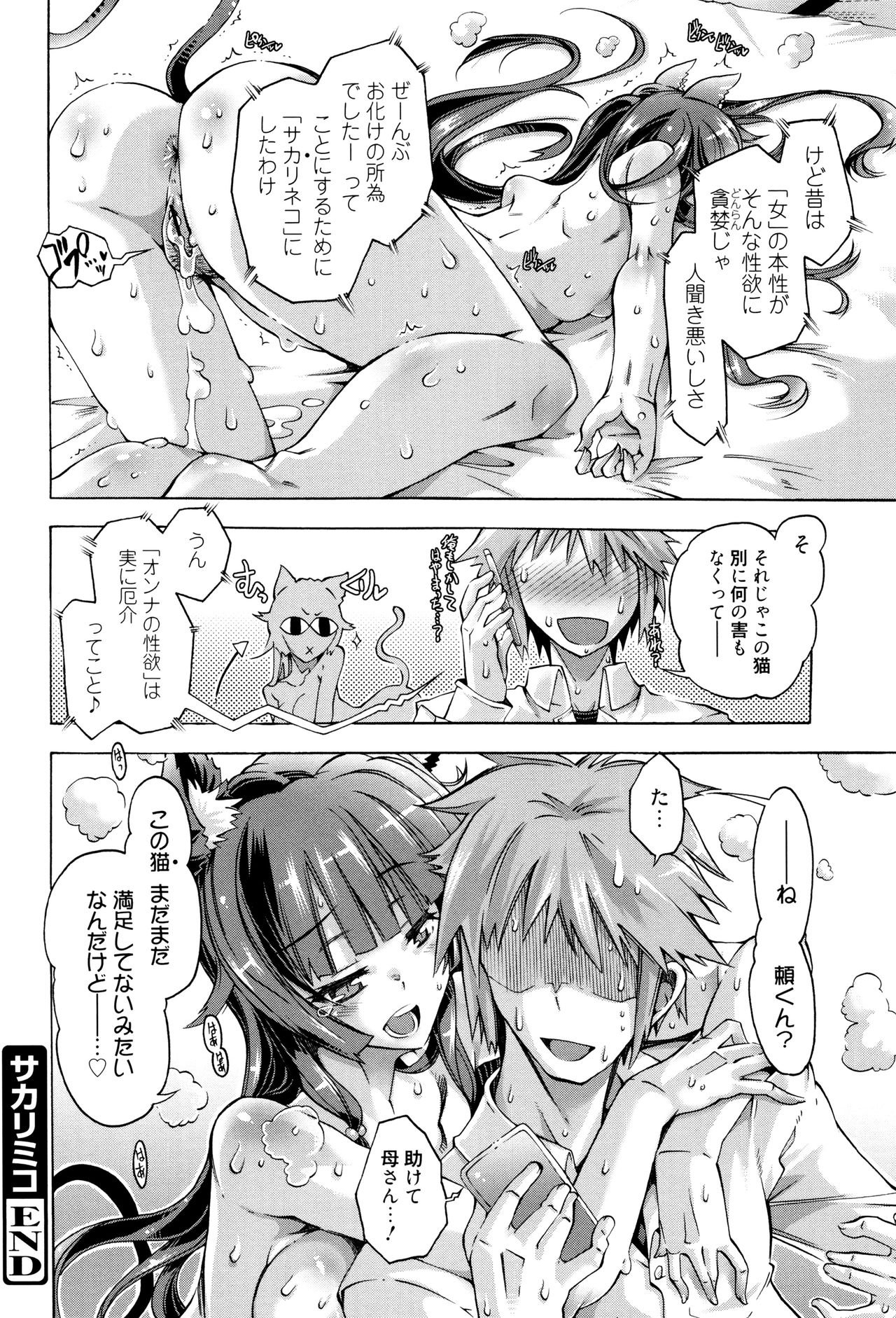 MMマテリアル